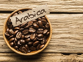 تصدير البن العربي البرازيلي تصدير البن العربي البرازيلي